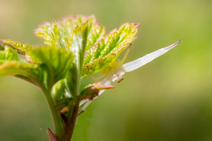 Al final de todo, solamente tenemos la vida.