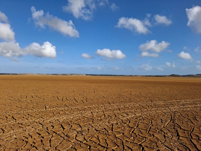 ¿A qué fuiste al desierto? (Mateo 11, 7)