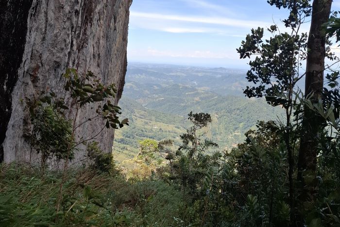 San Carlos – Antioquía: Montañas, ríos y bosques.